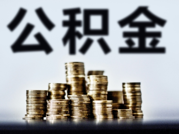 农村独子能否独立设户并建新房？揭秘具体条件和限制